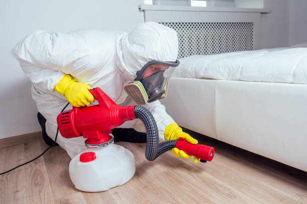 Best Pest Removal Services  in Concord, CA
