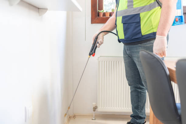 Trusted Concord, CA Pest Control Experts