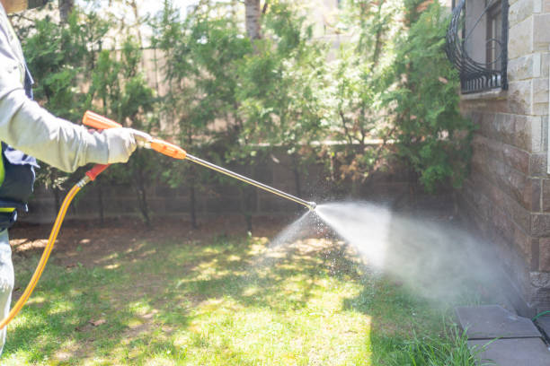 Pest Control Cost in Concord, CA