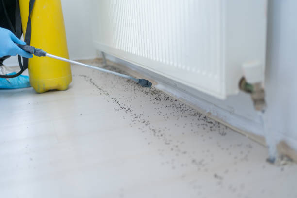 Best Cockroach Control Services  in Concord, CA